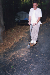 scooter