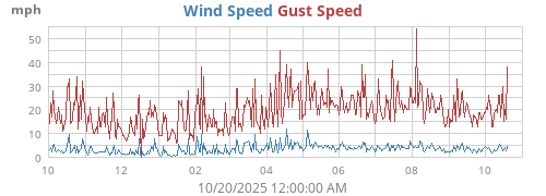 yearwind